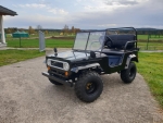 HILLBIL XTR-8 Mini Offroad Auto mit Benzinmotor - 60 km/h - 150 ccm,  schwarz mit Federung, Anhängerkupplung, Frontscheibe und Handbremse extra breit